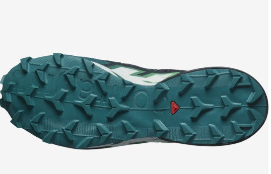 Salomon Mens Speedcross 6 Hiking Shoes, Carbon/Tahitian Tide/White