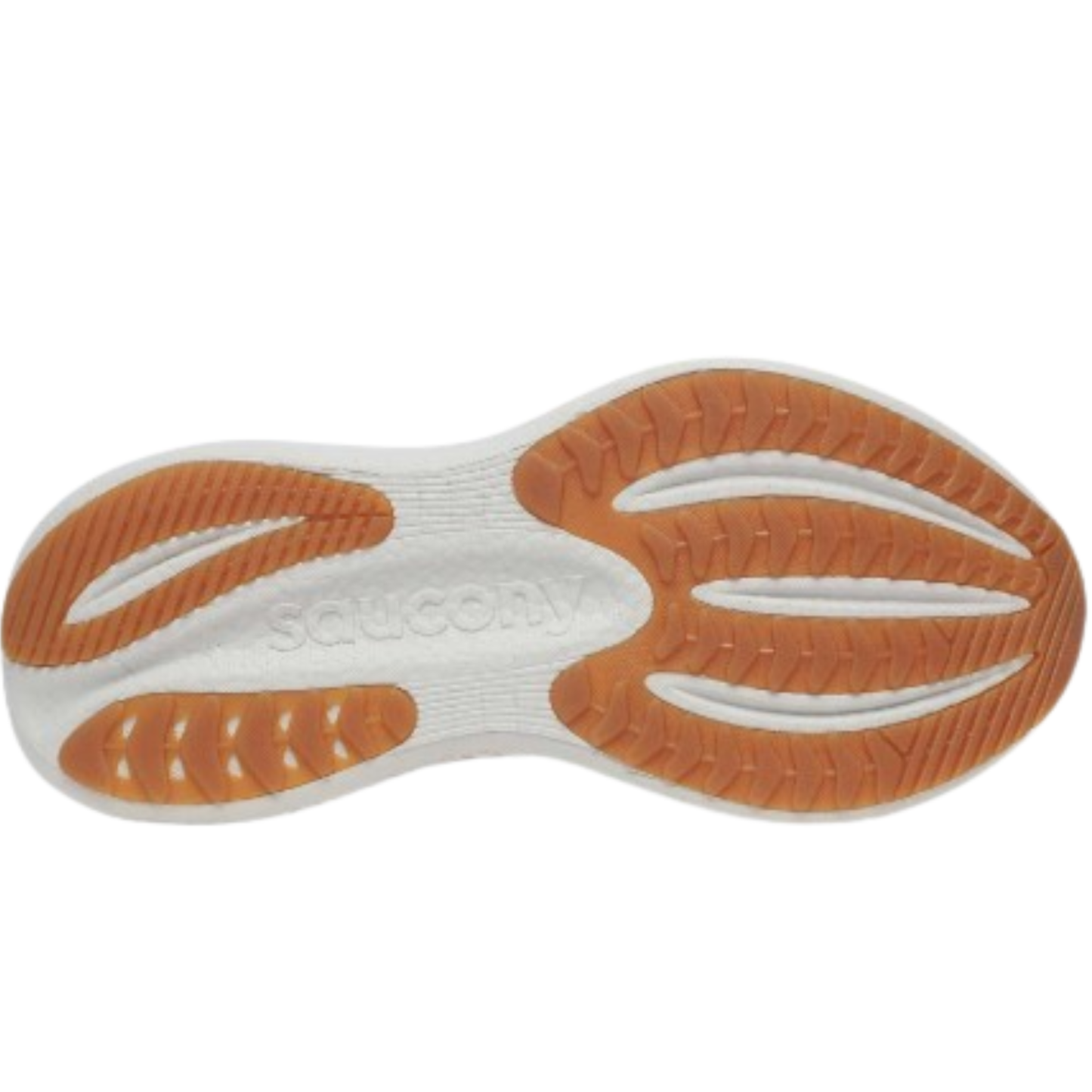 Saucony Women's Triumph 23 Sneaker, Cameo/Quartz - Ndoros