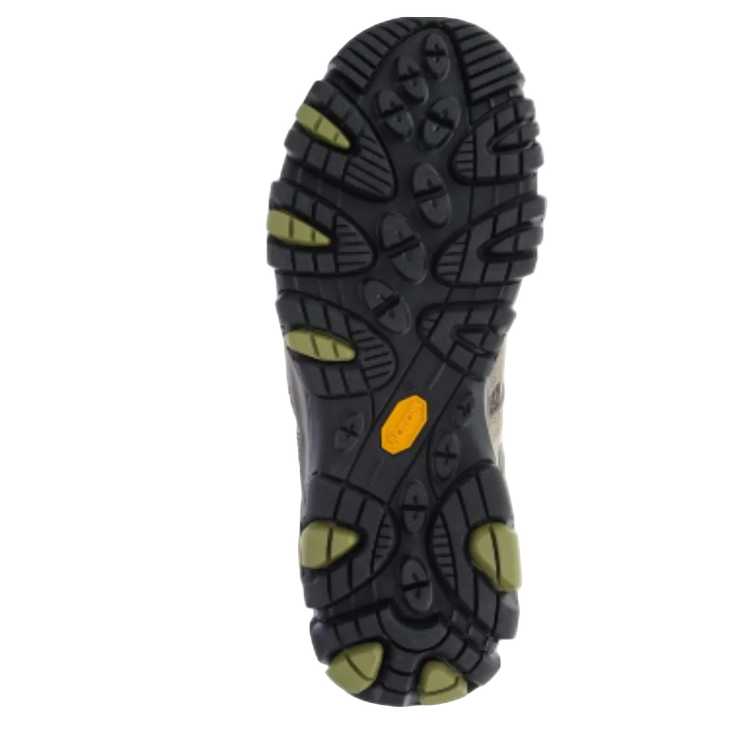 Merrell Men's Moab 3 Multi-Sport Hiking Shoe, Walnut Moss - Ndoros