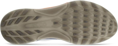 ECCO Men's Biom C4 Gore-tex Waterproof Golf Shoe, Grey