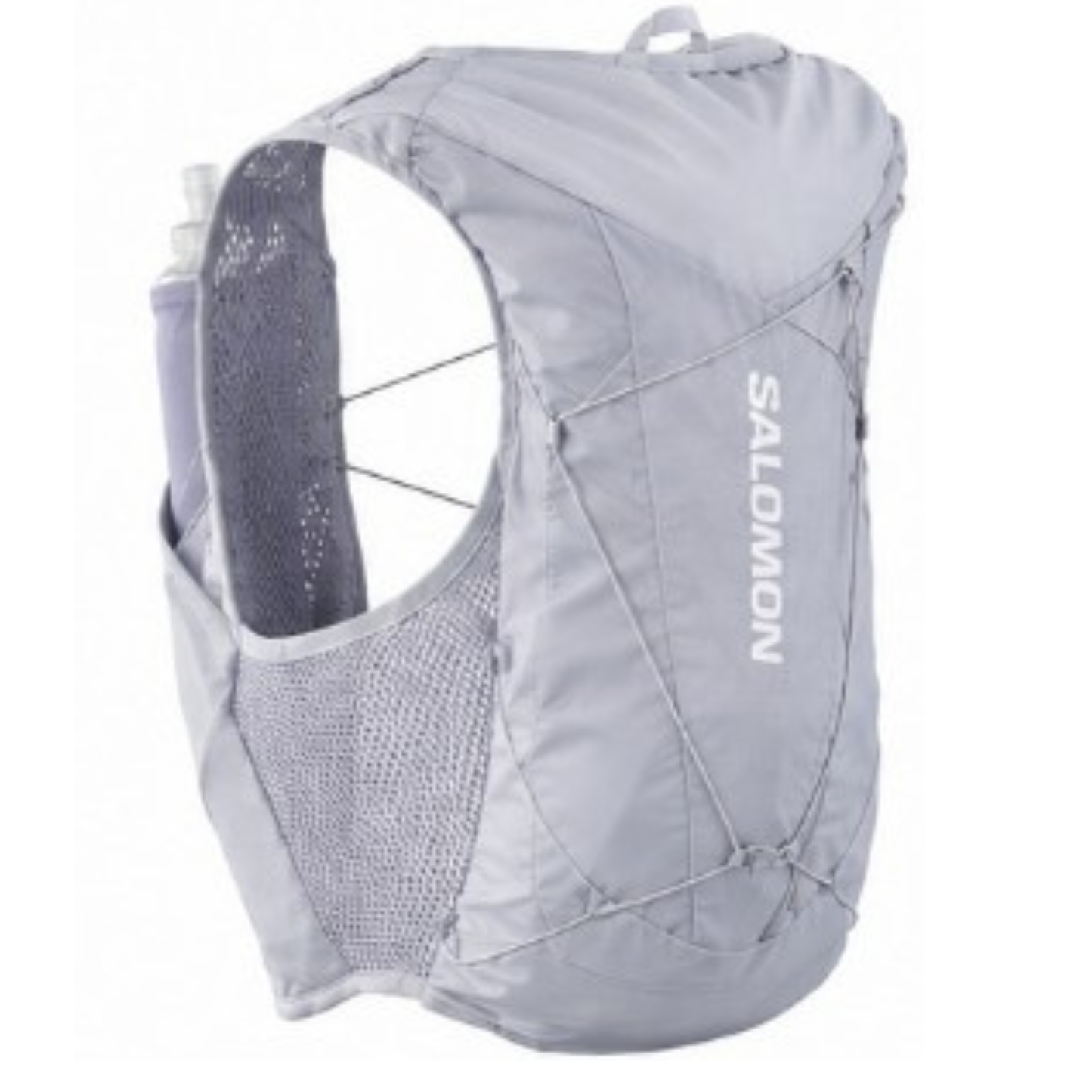 Salomon Unisex Advance Skin 12 | 12 Liter Hydration Trail Running Vest, Alloy/Gray Violet, Small