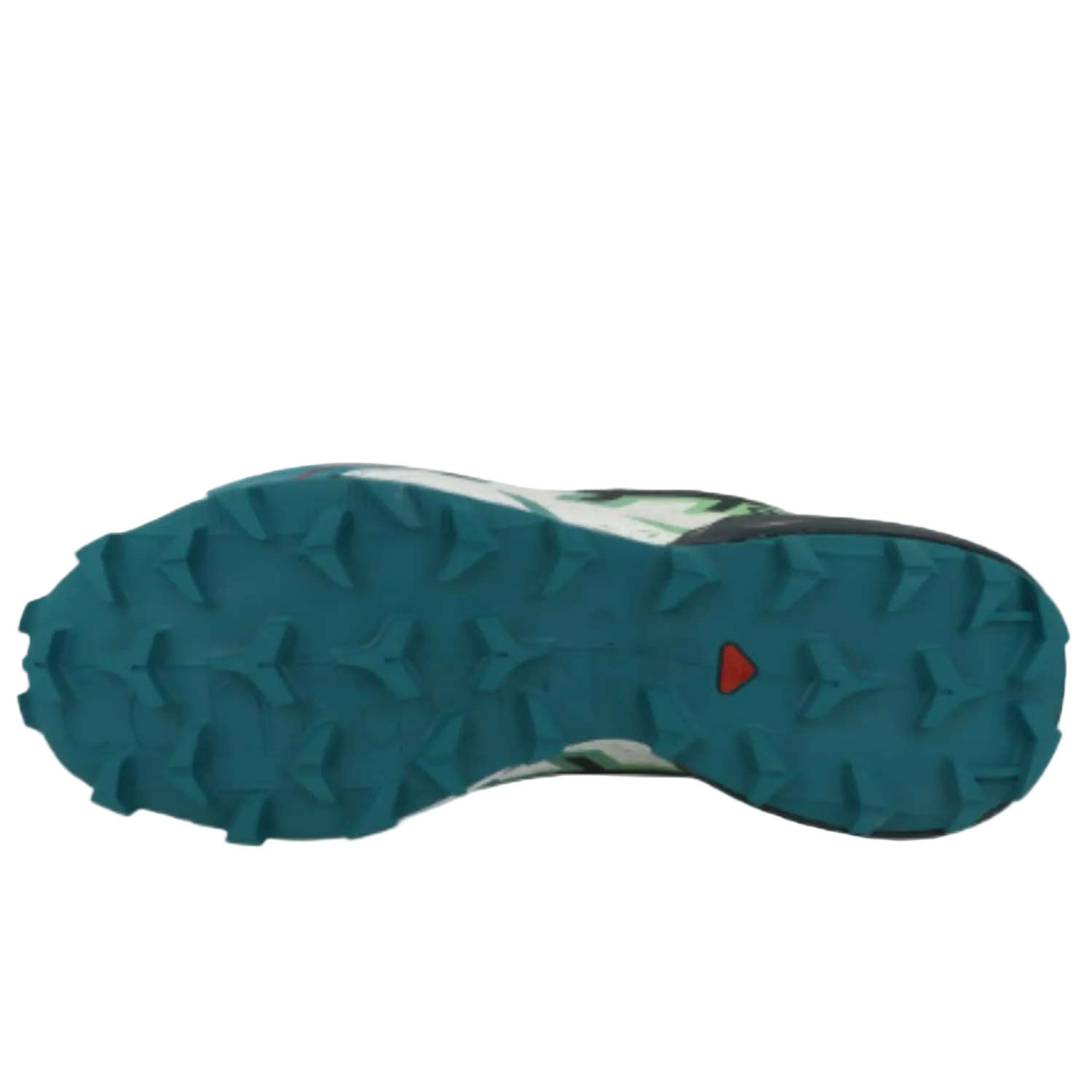 Salomon Mens Speedcross 6 Hiking Shoes, Carbon/Tahitian Tide/White - Ndoros