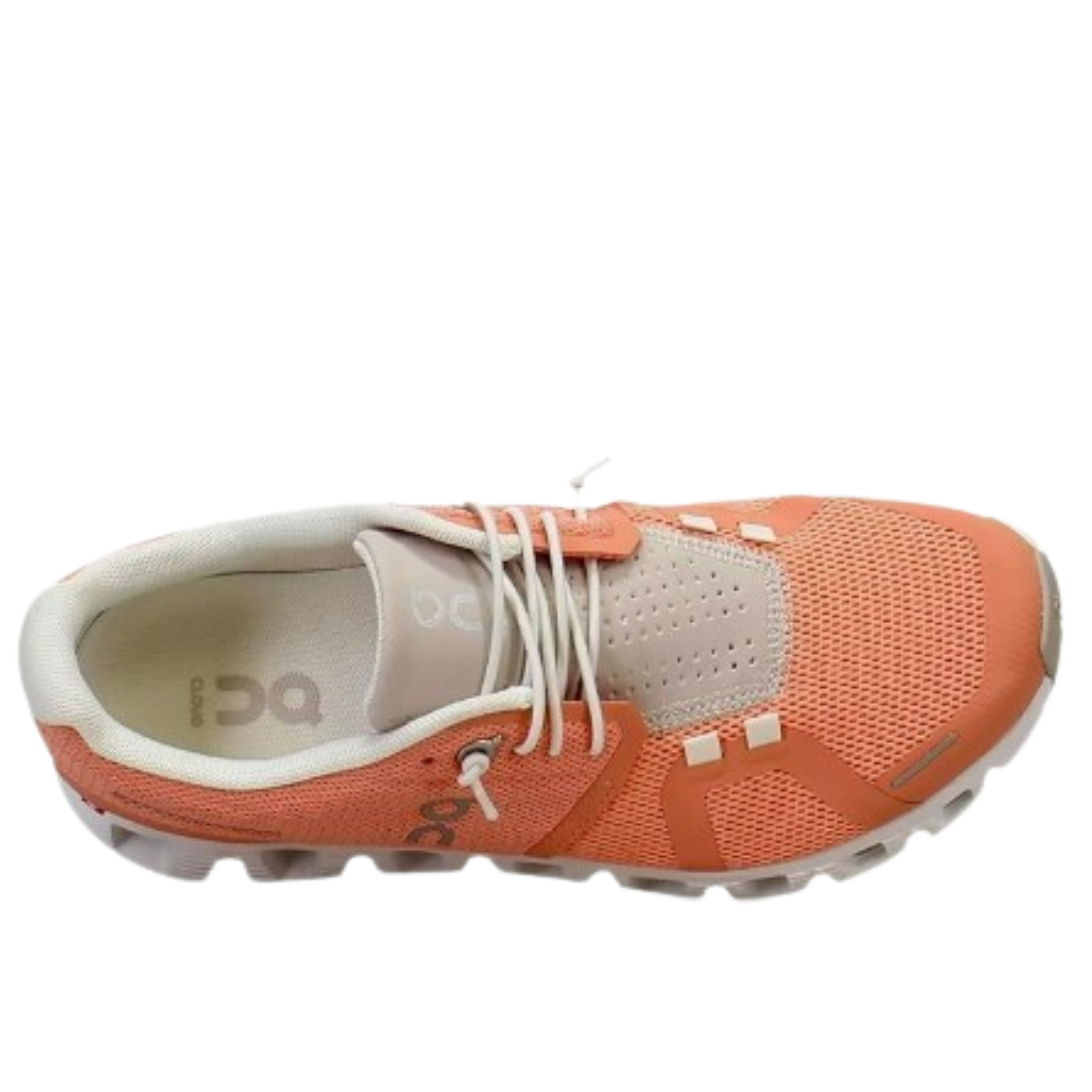 On Cloud Women's Cloud 5 Running Shoes, Flamingo / Pearl - Ndoros
